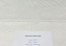 Body Carry Sheet - Non Woven - Large (300 x 155cm)